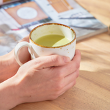 Porcelain Coffee Mug Set of 4. Cups for Tea, Cappuccino, Latte, Chocolate, Hot or Cold Drinks. Porcelain Coffee Cups with Big Handle 12.5 oz. Microwave, Oven, and Dishwasher Safe, Scratch Resistant